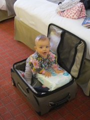 Crawling in the Suitcase